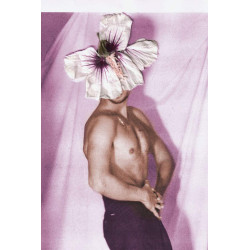 The Male Muse Livre photo INSPIRO n°3